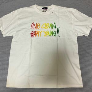 長期間展示品　日焼け黄ばみ有　新品　チャンピオンベース　2004 大宮チヤプトTシャツ　ステューシー　白　サイズL Omiyachapter