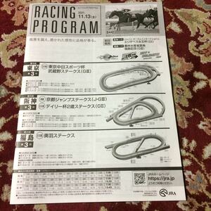 JRAレーシングプログラム2021.11.13(土)デイリー杯2歳ステークス(GⅡ)武蔵野ステークス(GⅢ)京都ジャンプステークス(J・GⅢ)奥羽ステークス