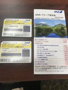 ANA 全日空 50％割引株主優待券1枚。　　　　　グループ優待券1冊。正規料金の50％割引でご利用いただけます