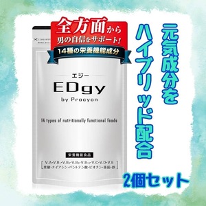 ２個セット EDgy エジー 亜鉛 アルギニン シトルリン 栄養機能食品 厳選成分配合 120粒30日分 × ２個 国内生産