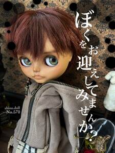 カスタムブライス 男の子 スリサステナブル♪shino.doll custom Blythe ネオブライス