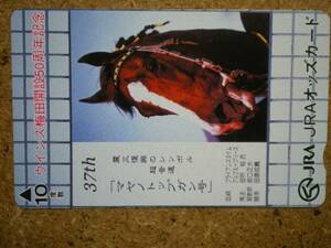 I1817・マヤノトップガン　競馬　ＪＲＡオッズカード
