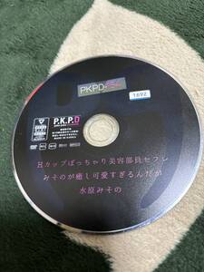 アダルトDVD 水原みその