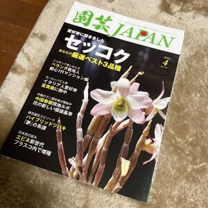 園芸JAPAN 2022年4月号　富貴蘭 セッコク 春蘭