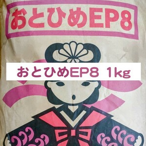 日清丸紅飼料 おとひめEP8 1kg ※送料無料※