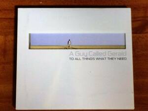 A Guy Called Gerald　”To all things what they need”　House　（!K7　!K7 173CD　2005　France）