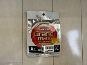 シーガー グランドマックス 6号　Seaguar Grandmax 60m