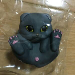 まんまるねこ　猫　ネコ　スコティッシュホールド　新品