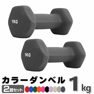 未使用 ダンベル 1kg 2個セットカラーダンベル 鉄アレイ ダンベル コンパクト おしゃれ かわいい カラフルダンベル エクササイズ 筋トレ