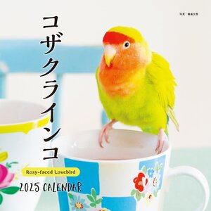 2025年カレンダー コザクラインコ (誠文堂新光社カレンダー)