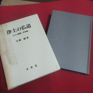 浄土の仏道 その人間観世界観 平野修 仏教 検)仏陀浄土真宗浄土宗真言宗天台宗日蓮宗曹洞宗空海親鸞法然密教禅宗臨済宗仏書神道道教 古書PB