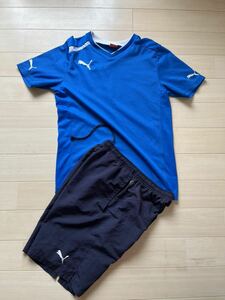 SALE★P PUMA トレーニングウェア上下　ブルー