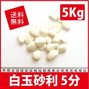 白玉砂利 ホワイト化粧砂利 5分(12mm-20mm) 5Kg〔送料無料 離島別途〕