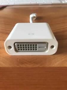 Apple Mini DisplayPort - DVI アダプタ（A1305）