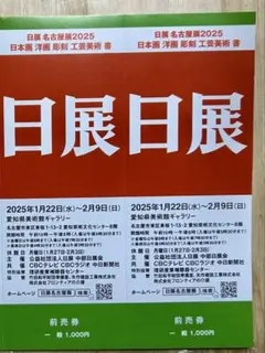 日展 名古屋展 入場券2枚セット