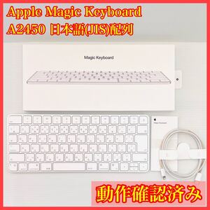 Apple 純正 Magic Keyboard A2450 日本語(JIS)配列 MK2A3J/A 充電ケーブル　USB タイプC Lightning アップル マジックキーボード