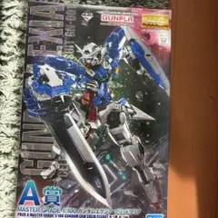 GUNDAM EXIA 1/100 マスターグレード