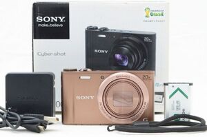 ☆極上美品☆ ソニー サイバーショット Sony Cyber-Shot DSC-WX300 元箱 付属品 稀少なブラウンカラー ♯24120601