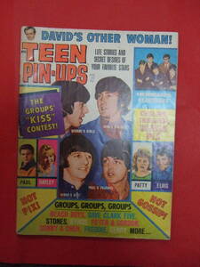 TEEN PIN-UPS 74p 奇跡の1冊！