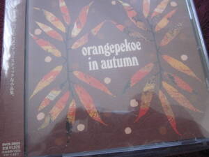 帯付美品CD　オレンジペコー／ORANGEPEKOE IN AUTUMN