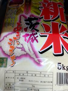 新米　茨城県産　あきたこまち　令和6年産　5kg　送料無料　複数可