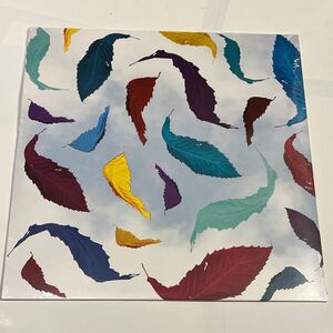 NEW ORDER True Faith Remix ‘23年発売 EU盤レコード 未開封新品