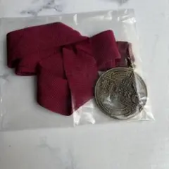 ディズニーランド ミステリーツアーメダル
