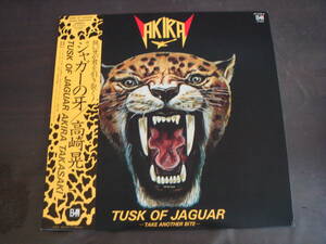 高崎晃/ジャガーの牙　TUSK　OF　JAGUAR　ラウドネス