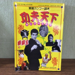 格闘王 9 実践カンフー読本 功夫天下 フルコンタクト KARATE 別冊 ブルース・リー 中国武術