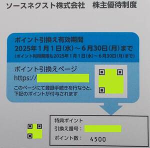 ソースネクスト 株主優待券 4500円分 2025年6月まで