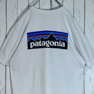 Patagonia パタゴニア メンズ P-6ロゴ レスポンシビリティー レギュラーフィット Tシャツ ホワイト L 10s 2019年製 STY39174SP19 20202951