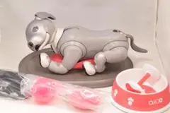 黒ゴマ ソニー アイボ ERS-1000 アイボーン AIBO SONY レア