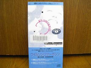 8cmCD ウイルソン ファーガソン WILSON FERGUSON 哀愁にシンギングアゲイン I