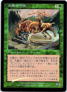 FOIL/大鹿の一団/Gang of Elk/7版/日本語版/MTG１枚 [FC]