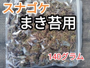 ☆スナゴケ・まき苔用・30×25cmサイズ・約140グラム