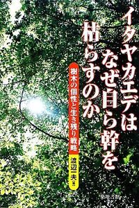 イタヤカエデはなぜ自ら幹を枯らすのか 樹木の個性と生き残り戦略/渡辺一夫【著】