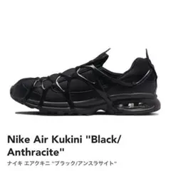 Nike Air Kukini ナイキ　エアクキニ　28cm