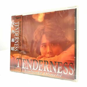 新品未開封 美品 大内義昭 CD テンダネス TDCT-1015 Yoshiaki Ohuchi TENDERNESS 邦楽 歌謡曲 90年代 J-POP ワーナーミュージックジャパン