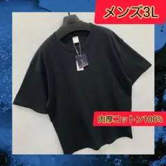 【3Lサイズ】新品未使用　メンズ　　肉厚コットン100%　半袖Tシャツ　黒