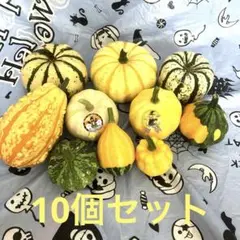 おもちゃかぼちゃ本物　8    ハロウィン