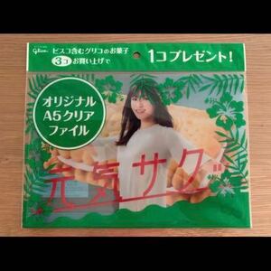 ●新品●　深田恭子　A5　クリアファイル　グリコ/glico　ビスコ　クリアホルダー　非売品