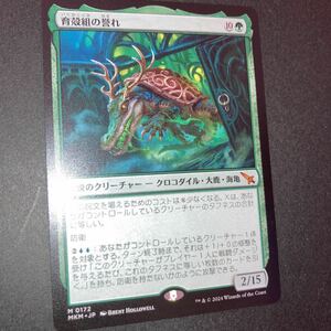 育殻組の誉れ　ギャザリング mtg カルロフ邸殺人事件