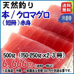 天然 本マグロ 赤身 150-250g×2-3冊＝500g分 冷凍 料亭 寿司屋 ご用達 真空パック 送料無料 宇和海の幸問屋