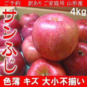 1個出品 予約 訳あり ご家庭用 山形産 サンふじ りんご 色薄 キズ 大小不揃い 4kg 12月上旬頃から順次出荷予定 さんきん 1円