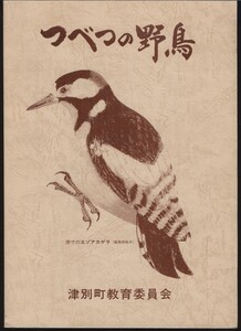 つべつの野鳥　塚部儀之助著 北海道網走郡 津別町教育委員会発行 平成7年 検:エゾアカゲラ シマエナガ チミケップ上里活汲地区野鳥観察記録