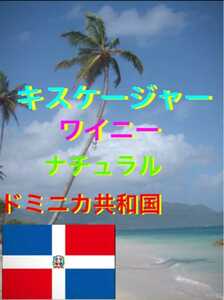 ドミニカ　キスケージャ　ワイニー200gコーヒー生豆！簡単なハンドピック済みです