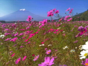 世界遺産 富士山5 写真 A4又は2L版 額付き