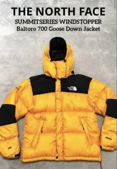 THE NORTH FACE サミットシリーズウインドストッパーダウンジャケット