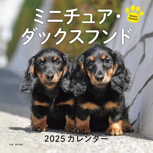 2025年カレンダー ミニチュア・ダックスフンド (誠文堂新光社カレンダー)