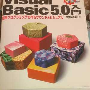 Visual Basic5.0入門